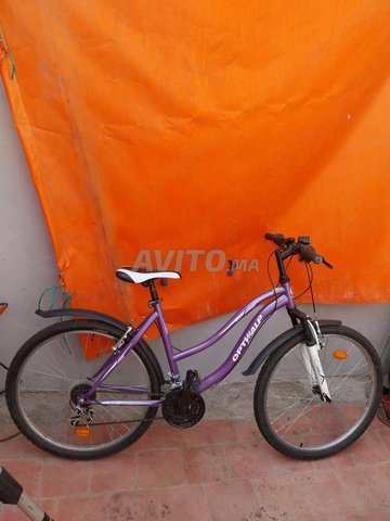 Velo avito discount