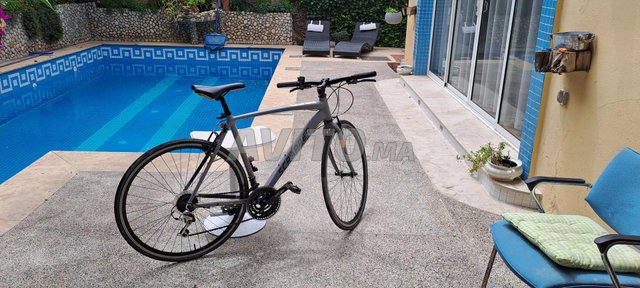 Velo scrapper 2025 spego 105