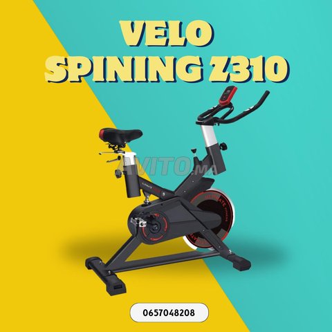 Spinning discount z310 pro