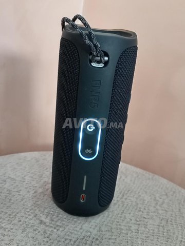 Enceinte portable Bluetooth JBL Flip 6 - Gris • MediaZone Maroc