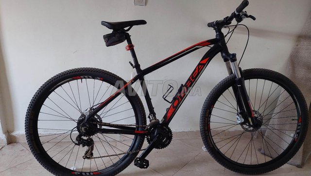 Vtt best sale orbea 29