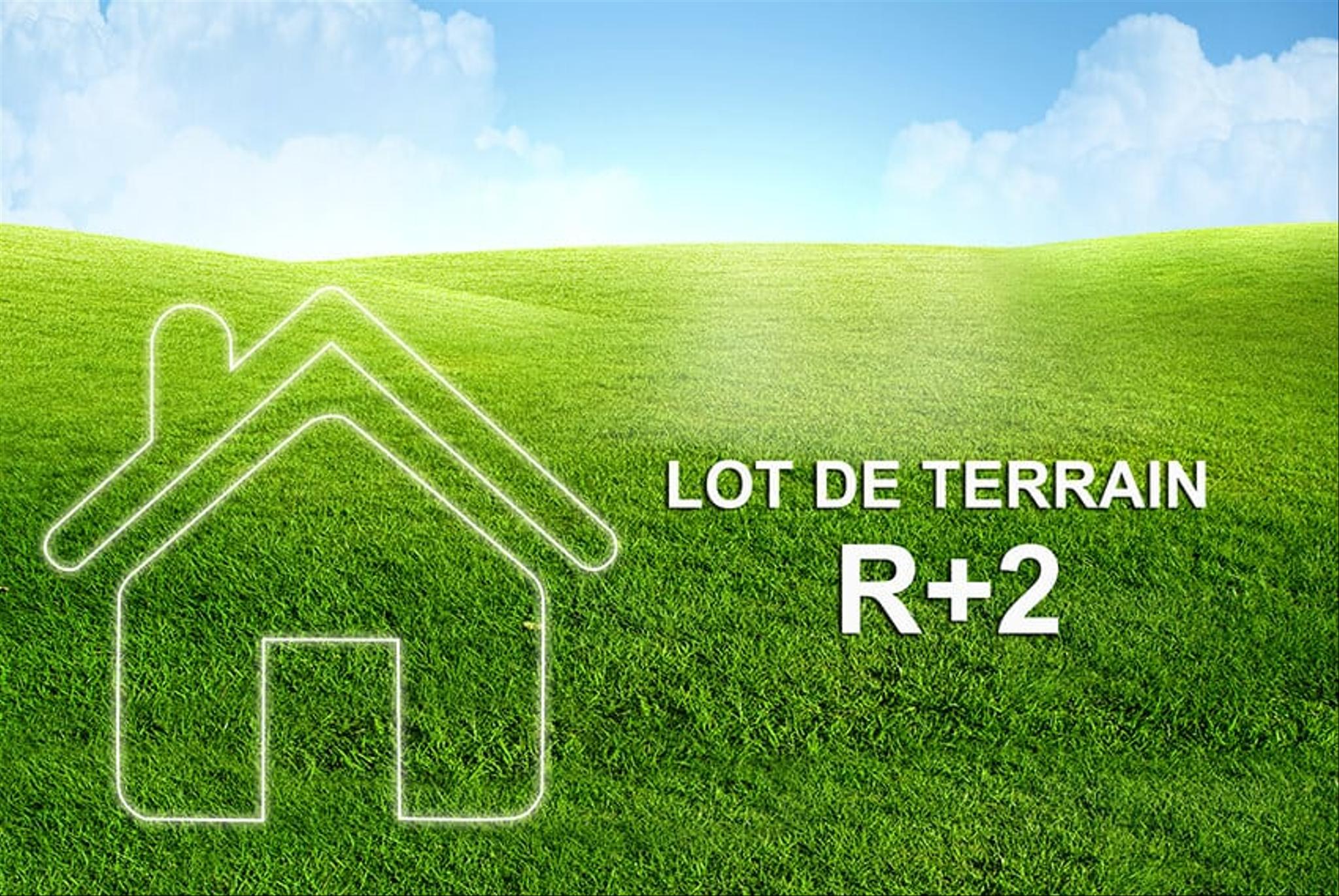 terrains r+2.jpg