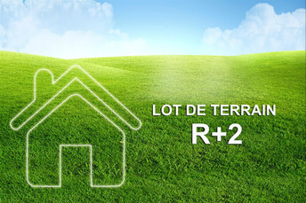 terrains r+2.jpg