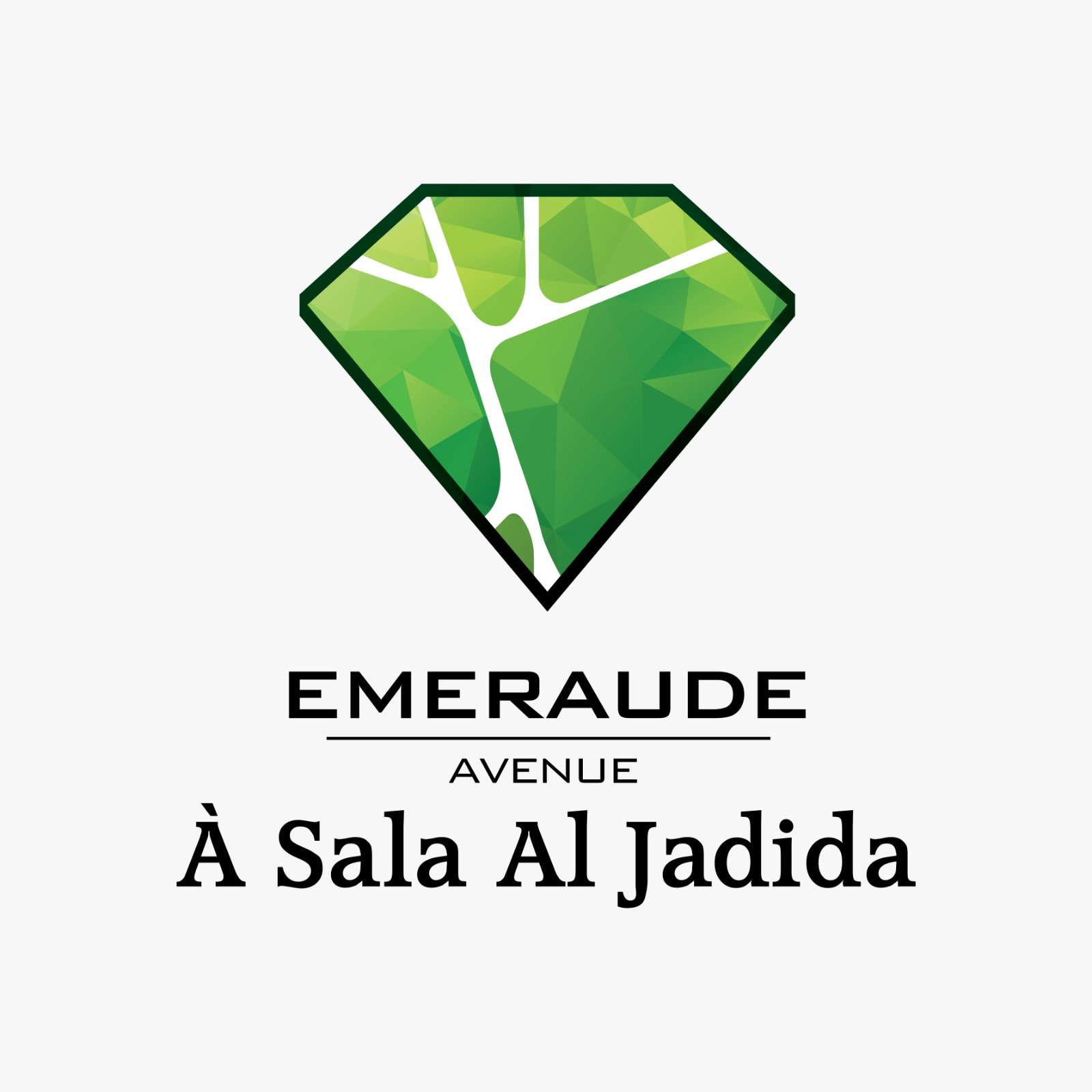 Avatar du vendeur