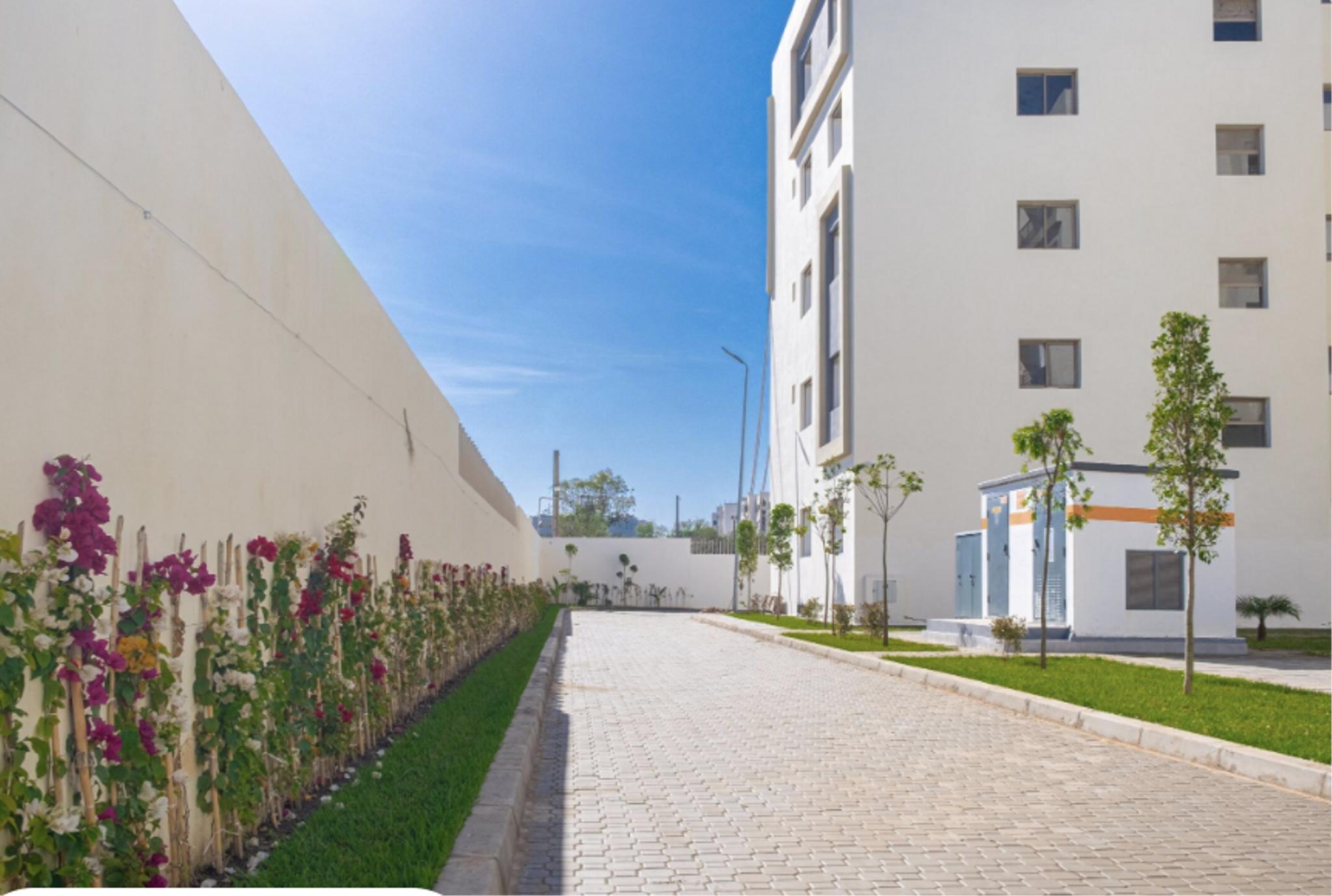 Capture d’écran 2025-04-16 à 11.30.15.png