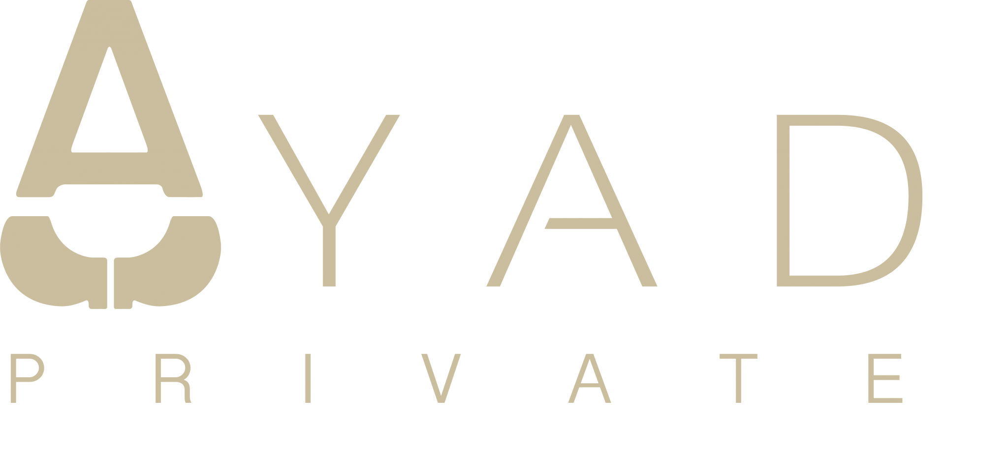 Avatar du vendeur