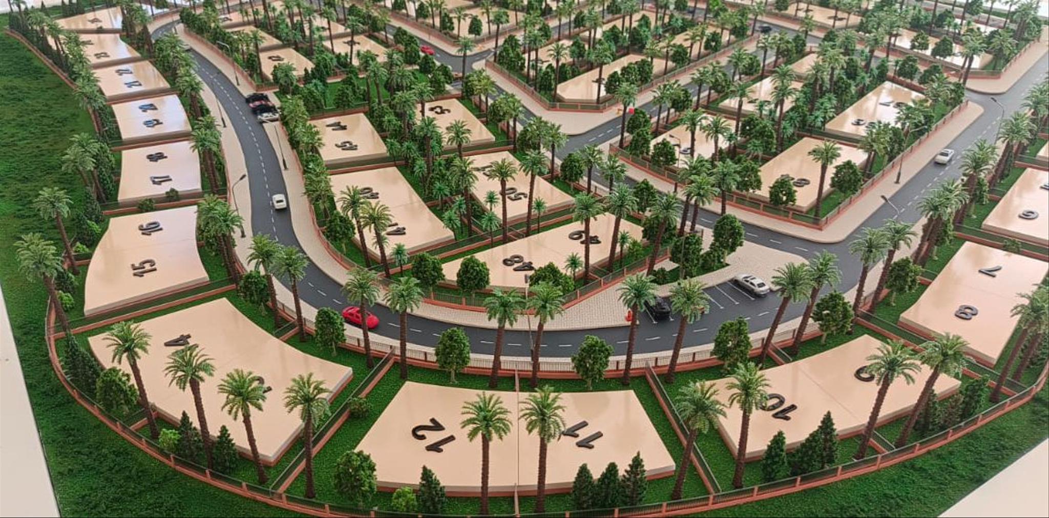 WhatsApp Image 2025-12-16 at 13.10.29.jpeg