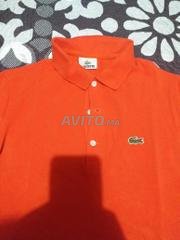 Annonces pour lacoste à Marrakech à vendre - Avito