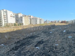 Terrains Et Fermes A Hay Hassani Tanger A Vendre Avito Immo