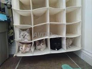 Vnvdatj4ovnem Vnvdatj4ovnem