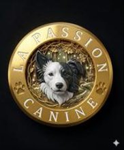 La passion canine animalerie